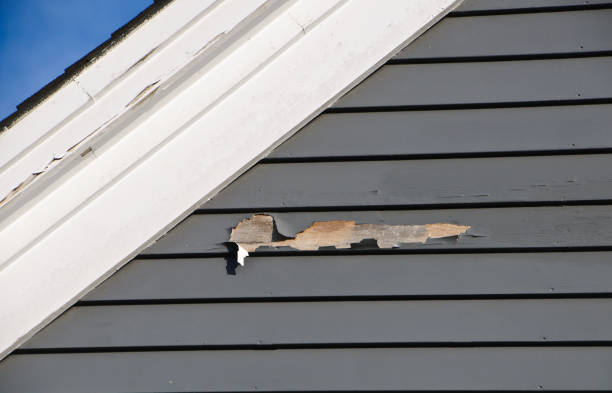 Best Construction Debris Removal  in Remlap, AL